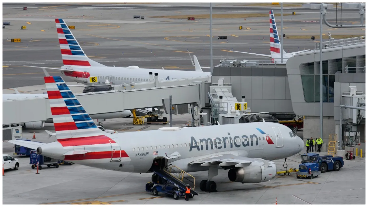 American Airlines Introduces Welcomed Change to Pet Travel Policy