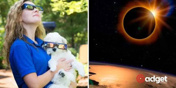 How Your Pets Really Feel About the Solar Eclipse: Unexpected Animal Behaviors Uncovered