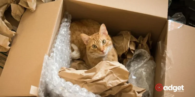 A Purr-fect Misadventure Utah Cat's Unexpected Journey in an Amazon Box