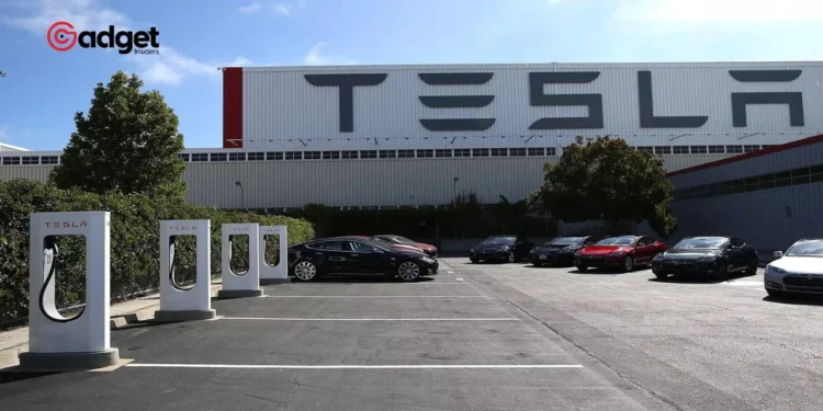 Billionaire Investor Stuns Tesla: Rejects Elon Musk’s Massive $50 Billion Deal