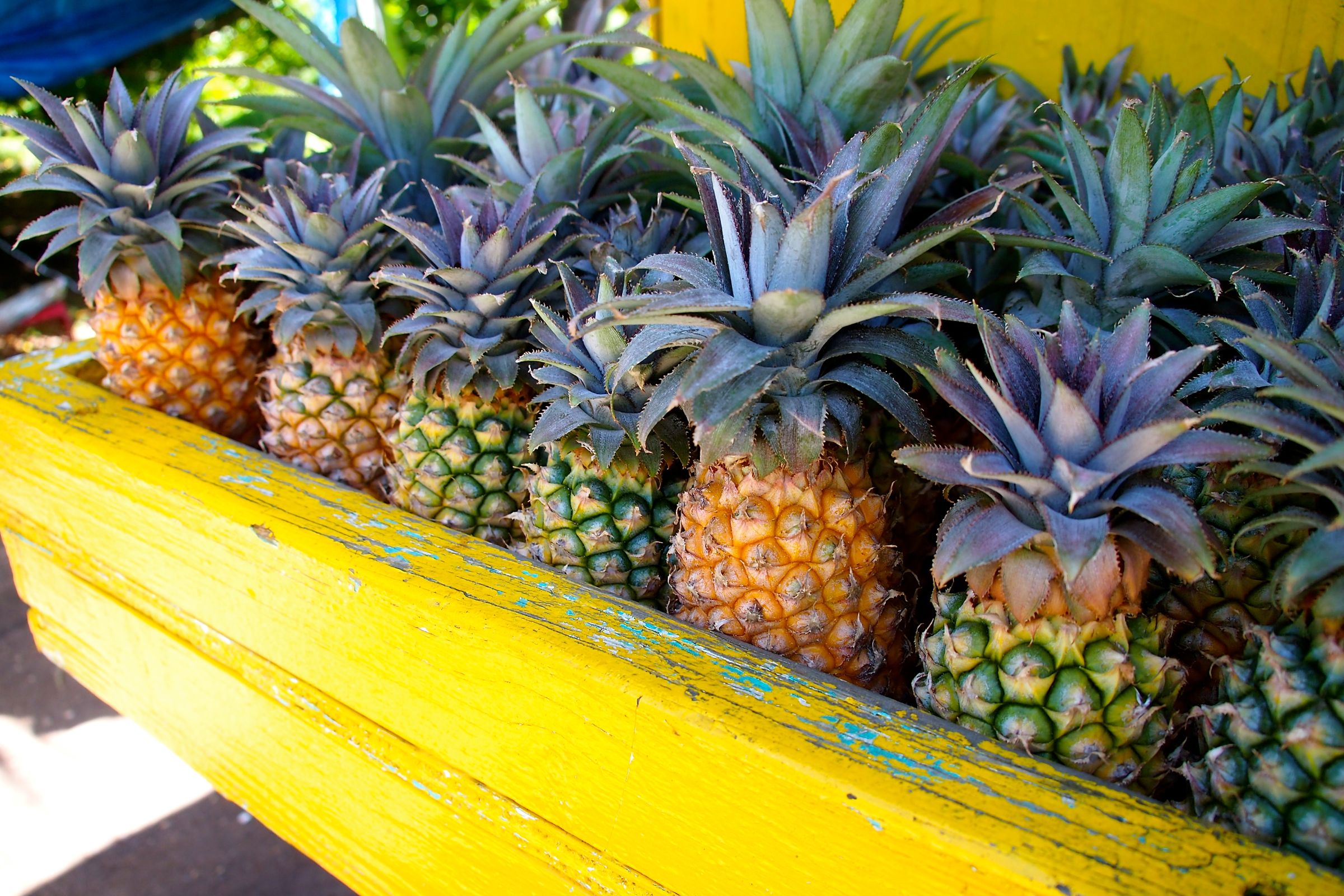 Meet California's $395 Pineapple: Why This Luxury Fruit is Turning Heads