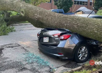 Navigating the Storm: Texas Power Crisis and the Ongoing Battle with Severe Weather