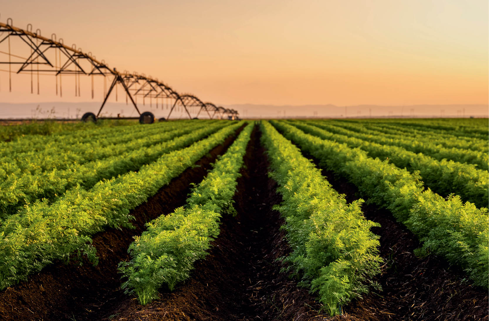 New $1.5 Trillion Farm Bill Sparks Major Debate What It Means for Your Food and Farmers---