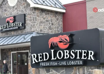 Red Lobster's Rocky Waters: How Thai Union's Takeover Led to Bankruptcy