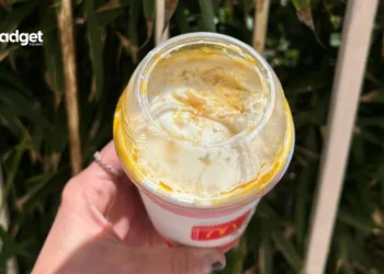 Relive Sweet Memories: McDonald's New Grandma McFlurry Brings Butterscotch Back!