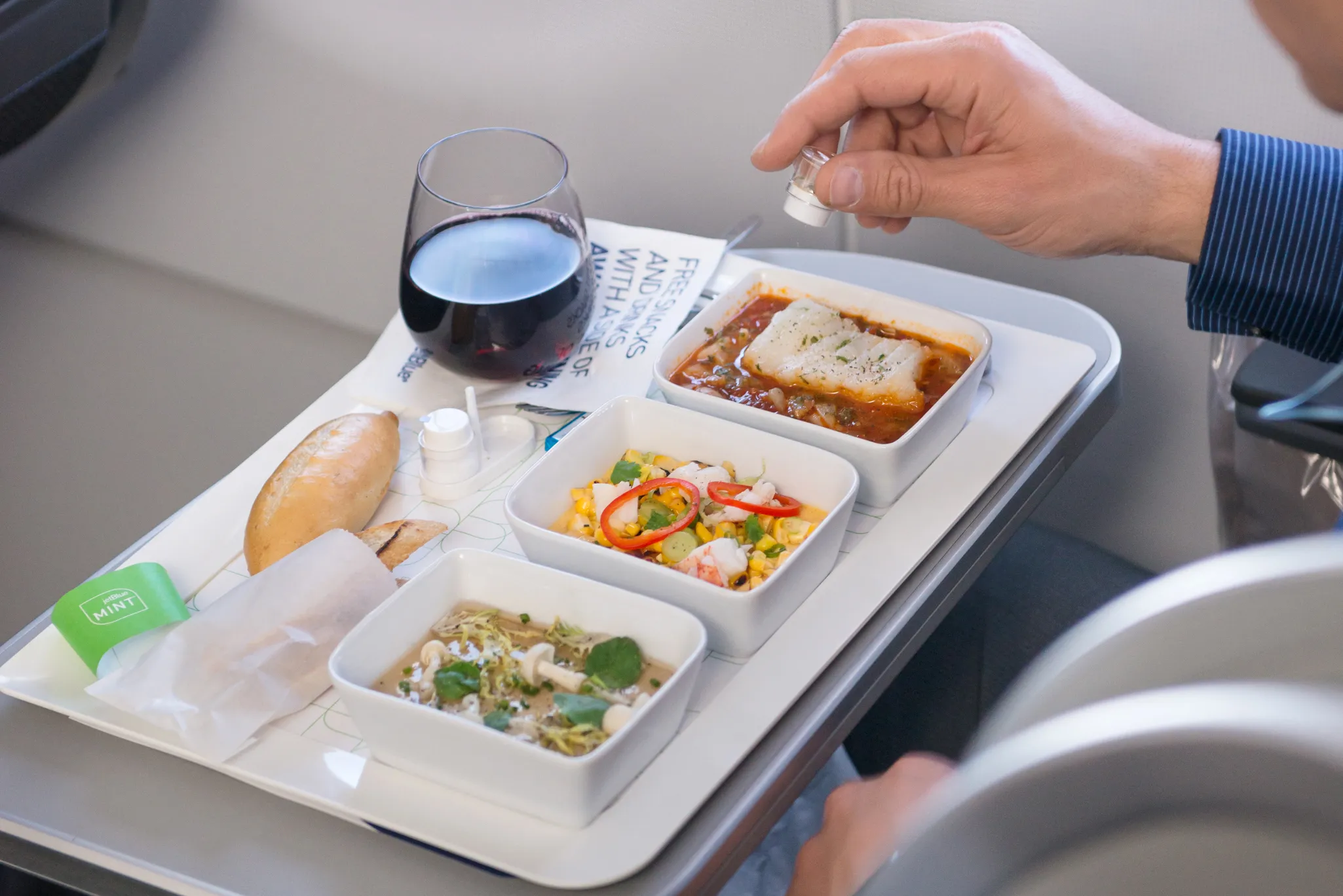 Sky-High Snacks Get a Cool Makeover: More Airlines Offer Tasty Frozen Meals to Surprised Travelers