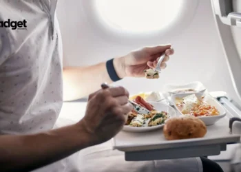 Sky-High Snacks Get a Cool Makeover: More Airlines Offer Tasty Frozen Meals to Surprised Travelers