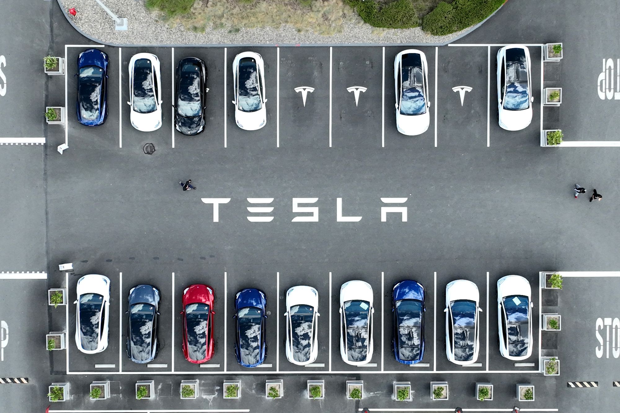 Tesla Faces Growing Environmental Challenge as Pollution Increases Despite Clean Energy Goals--