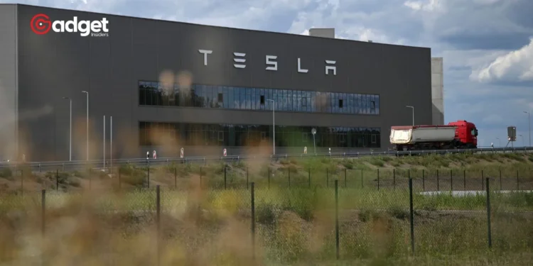 Tesla's Plan to Cut Down Forest for Factory Sparks Major Outrage in Germany