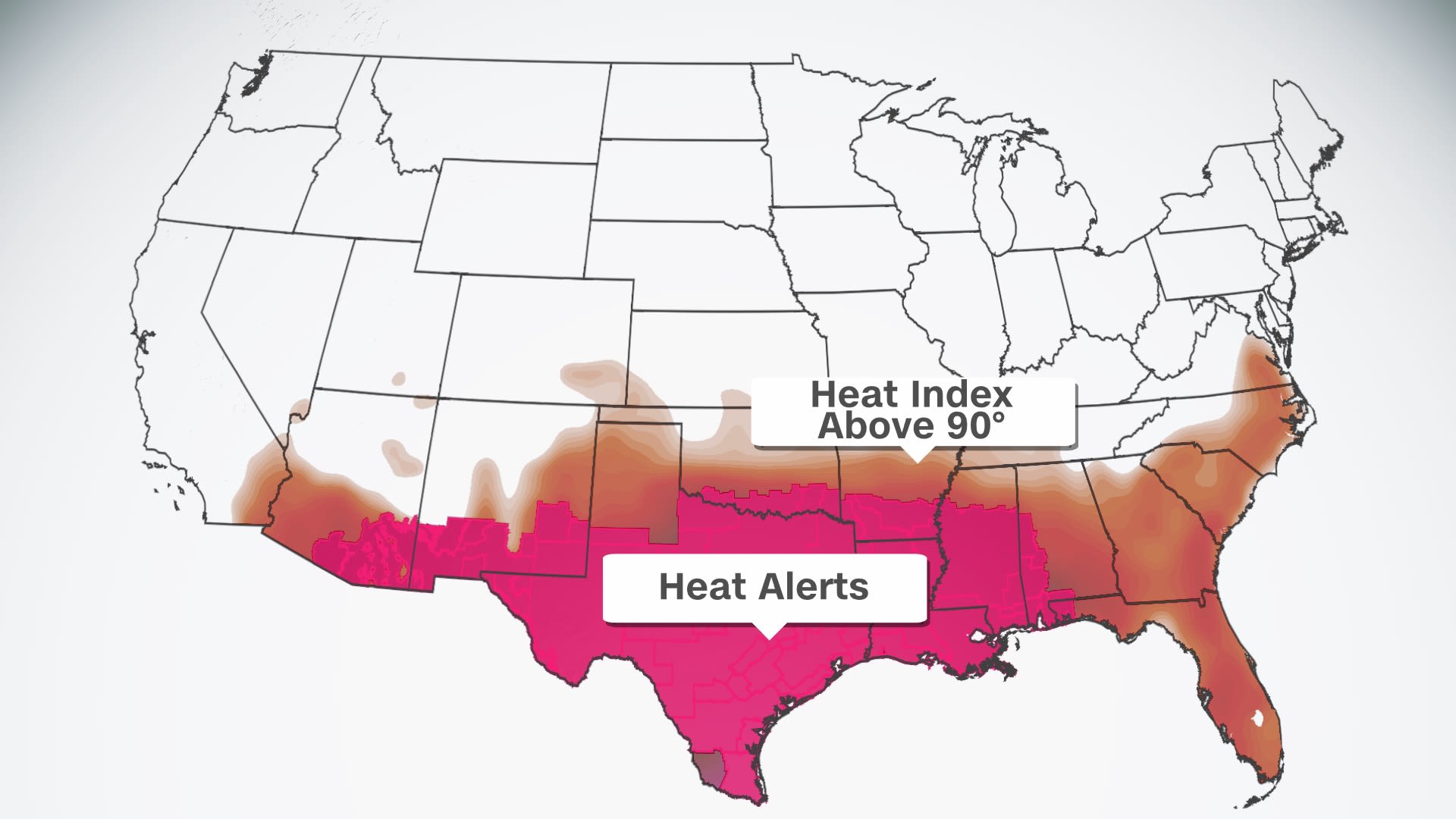 Unbearable Heat Alert Why Leaving Pets and Kids in Cars Can Be Deadly in Texas Right Now