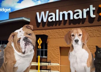 Walmart Revolutionizes Membership with Exclusive 24/7 Pet Telehealth Service, Outpacing Amazon