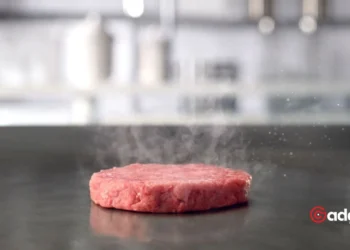 What’s Really in Your McDonald’s Burger? Unveiling the Truth About Their 100% Beef Claim