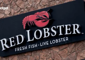 Why Are Famous Restaurant Chains Closing Down? The Story Behind Red Lobster and Others Facing Tough Times