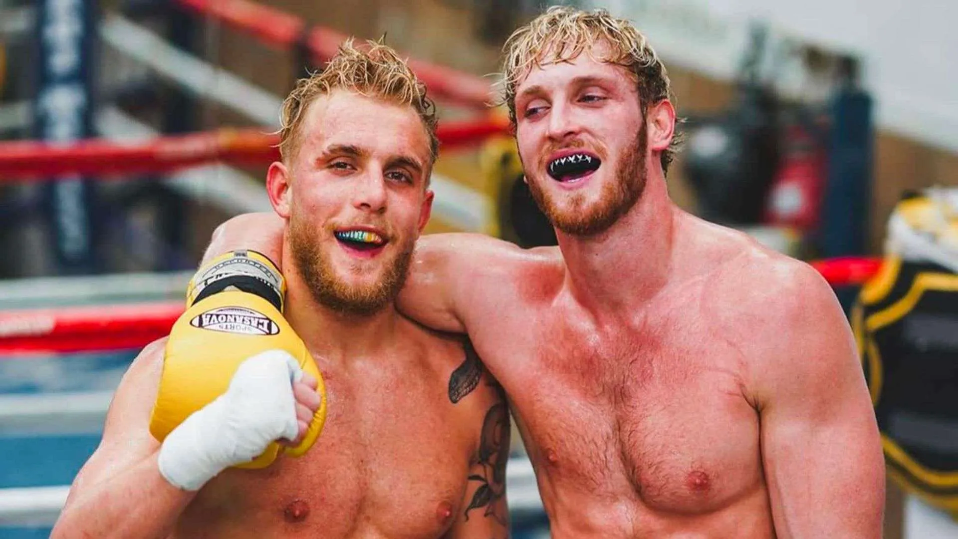 Brother vs Brother Showdown Logan Paul Steps in to Fight Jake Paul as Mike Tyson's Match Delayed---