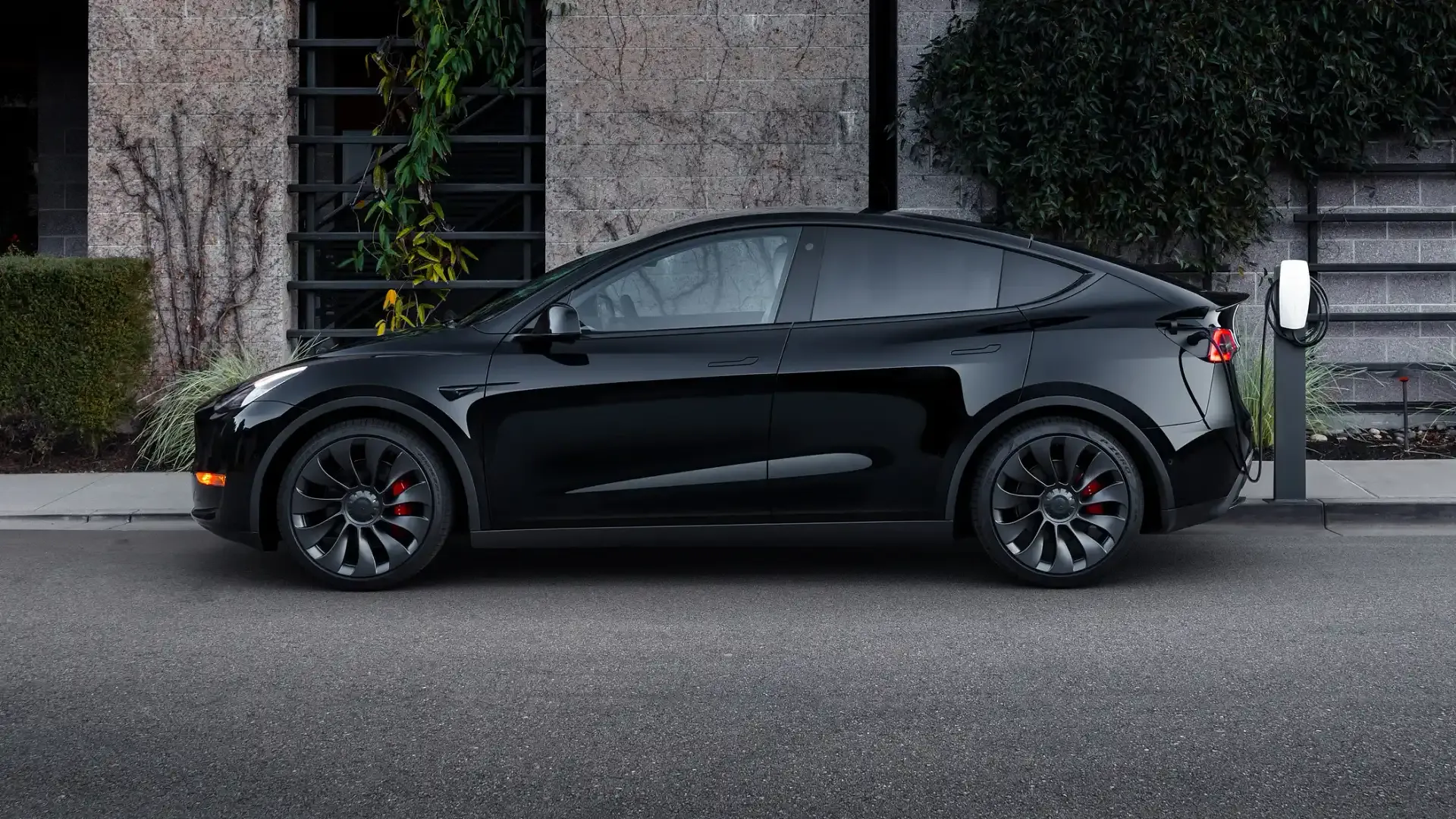 Elon Musk Announces No New Tesla Model Y Upgrade This Year What This Means for EV Fans--