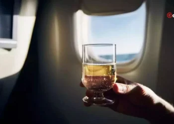 German Study Recently Uncovered Major Health Risks of Pre-flight Alcohol Consumption on Flights