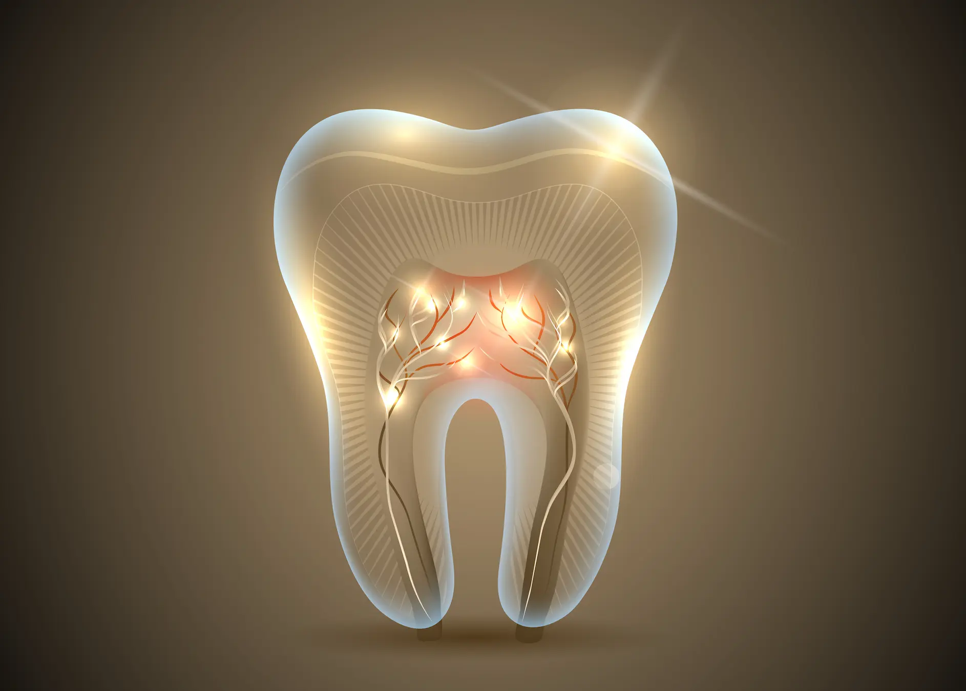 Meet the New Breakthrough A Drug That Can Actually Regrow Your Teeth Is Heading to Trials--