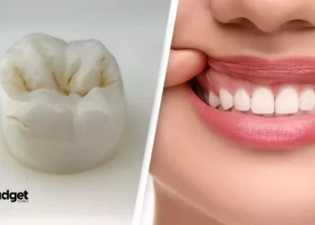 Meet the New Breakthrough A Drug That Can Actually Regrow Your Teeth Is Heading to Trials