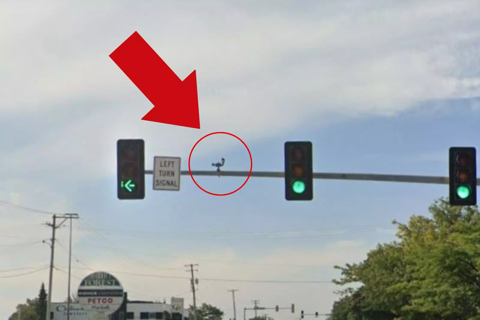 Next Stop, Innovation: How Adding a White Light to Traffic Signals Could Change Driving Forever
