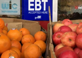 The Risk of EBT Card Fraud Poses a Challenge in Tackling Food Insecurity for 42 Million Americans