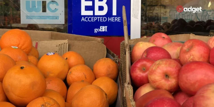 The Risk of EBT Card Fraud Poses a Challenge in Tackling Food Insecurity for 42 Million Americans