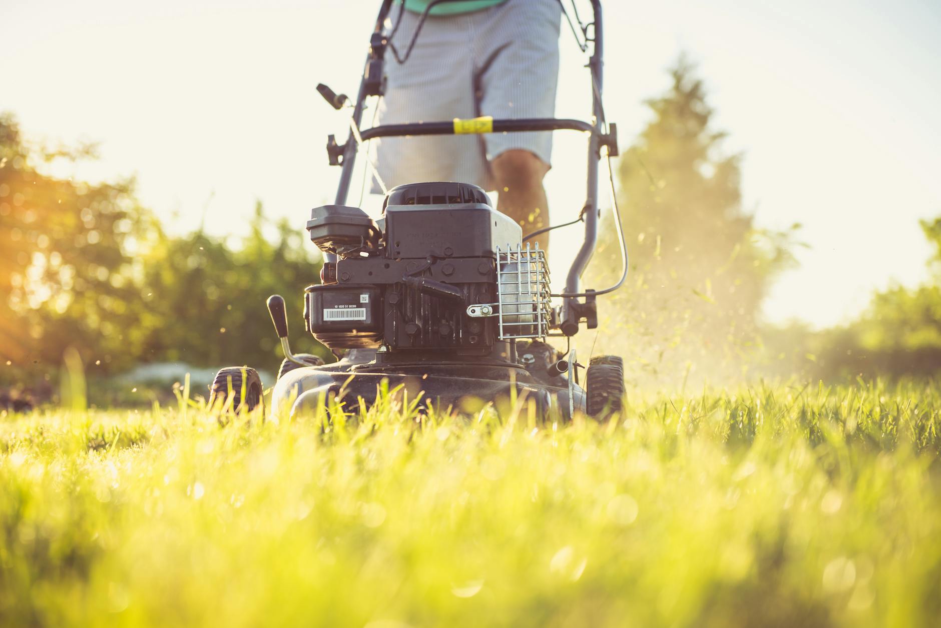 Mowing Your Lawn Too Often Might Make Weed Problems Worse a New Study Explains