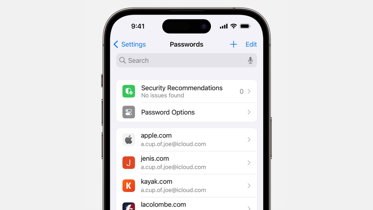 Apple's New iOS 18 Passwords App How It’s Changing iPhone Security with End-to-End Encryption--