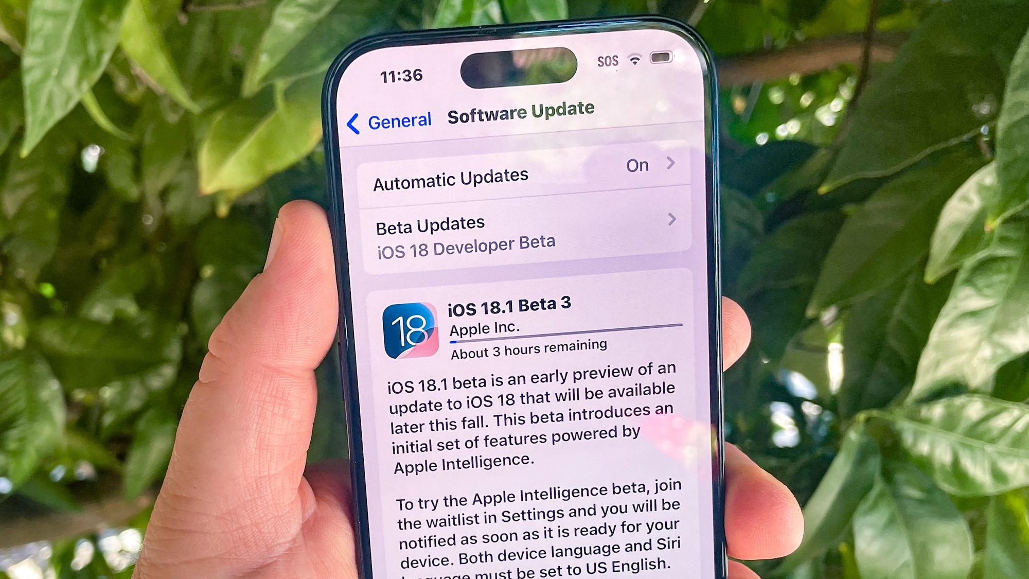 New iOS 18.1 Features Coming Soon: Explore What's Next for Your iPhone