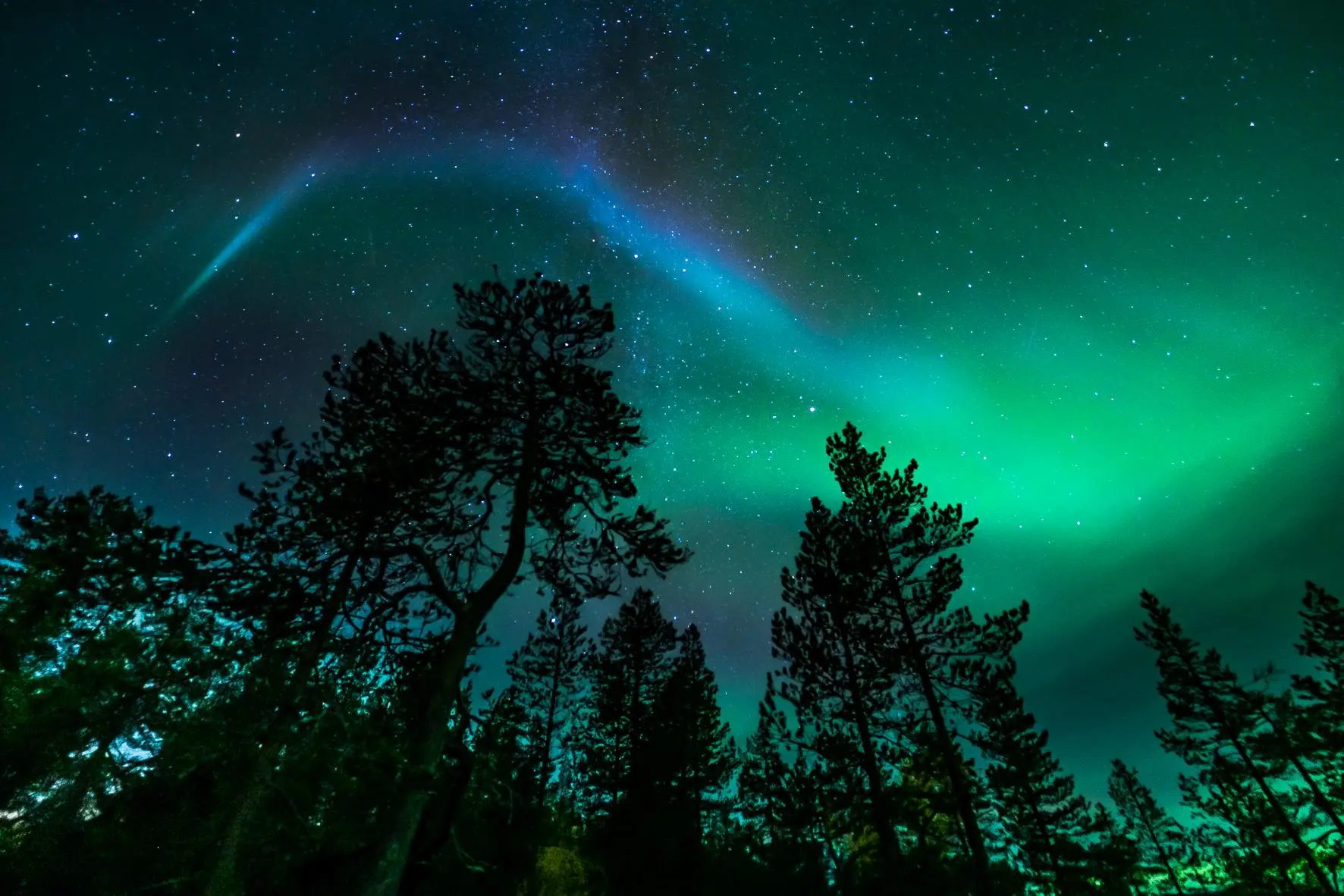 See the Skies Dance How to Snap the Northern Lights on Your Phone This Weekend-