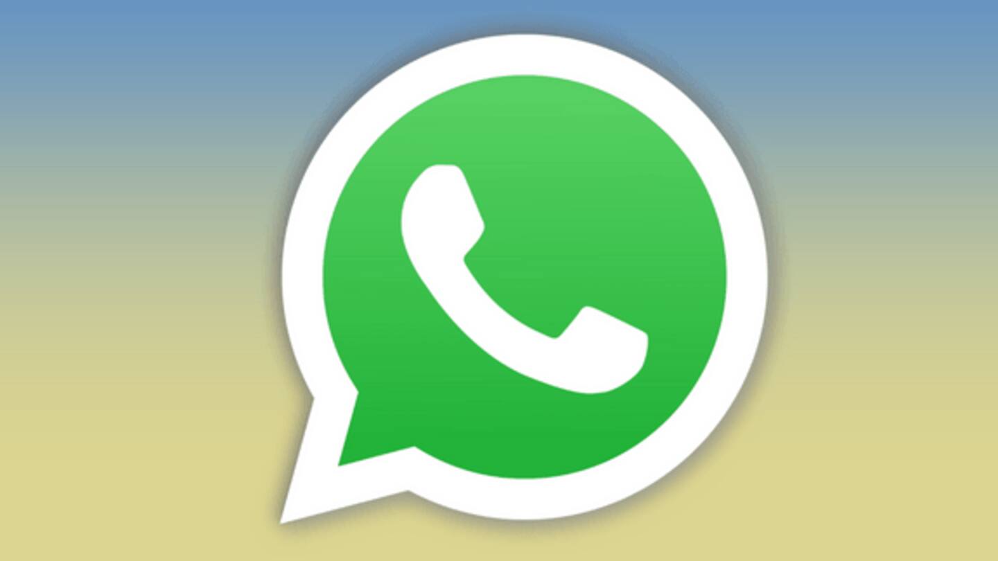 WhatsApp Unveils Game-Changing Update Save Contacts Easily and Chat Using Usernames-