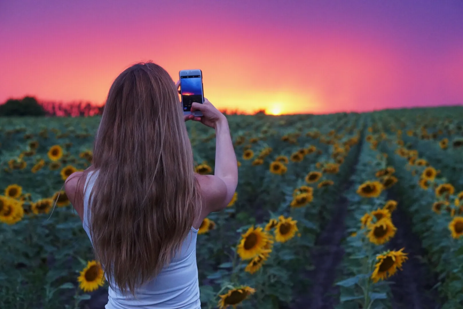 90+ Tips to Improve Your Mobile Photography---------