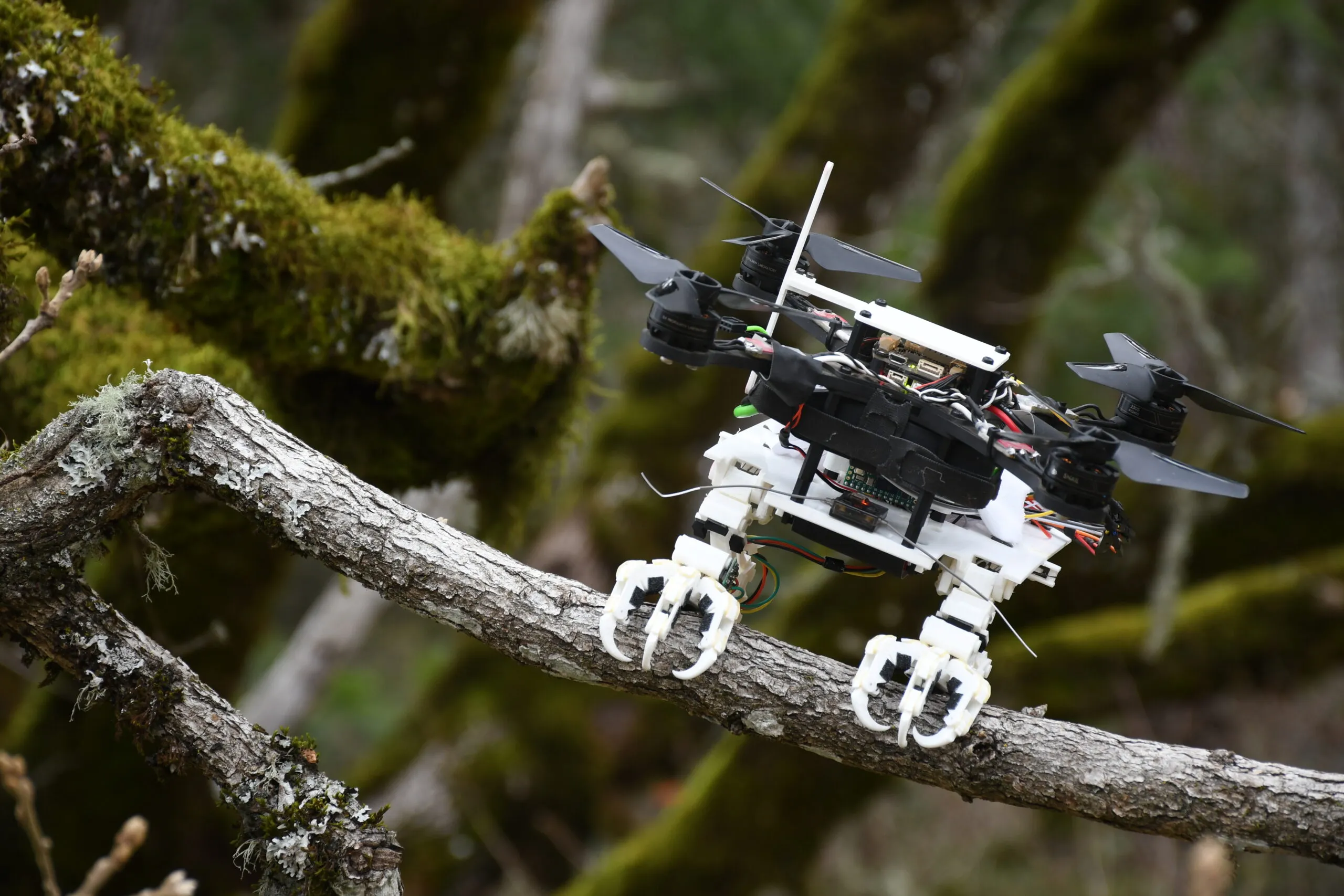 Meet the Swiss-Made Drone With Legs How RAVEN Mimics Birds to Fly and Walk on Any Terrain--