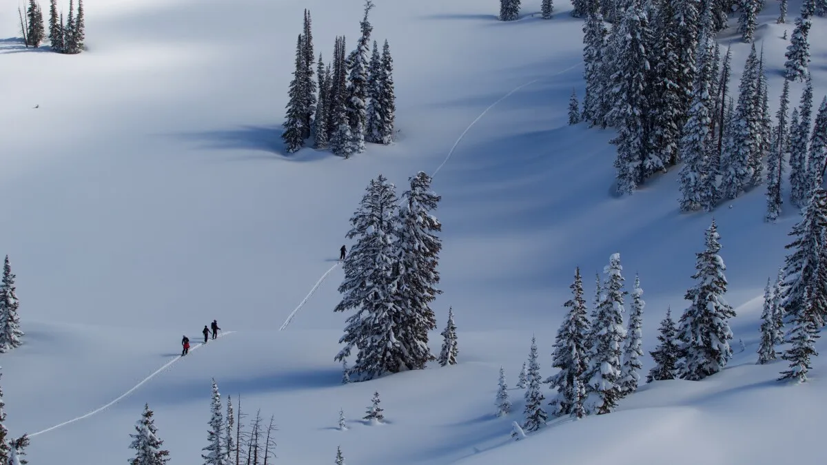 Three Skiers Rescued After 1,000-Foot Fall Near Steven’s Pass Thanks to Apple Watch SOS Alert