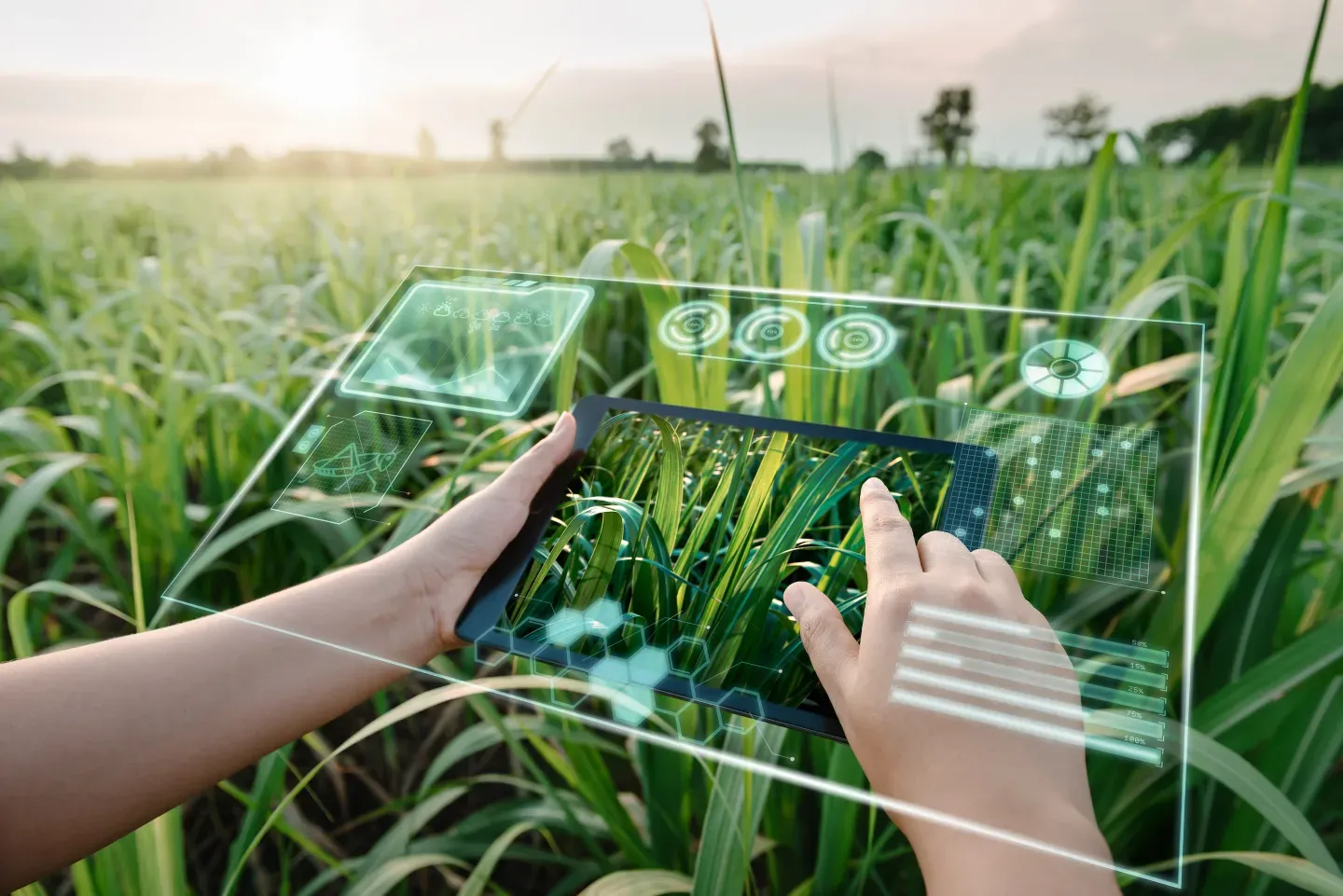 Google’s Secretive X Lab Just Launched a Startup That Uses AI to Supercharge Crops – Here’s What It Means for the Future of Farming