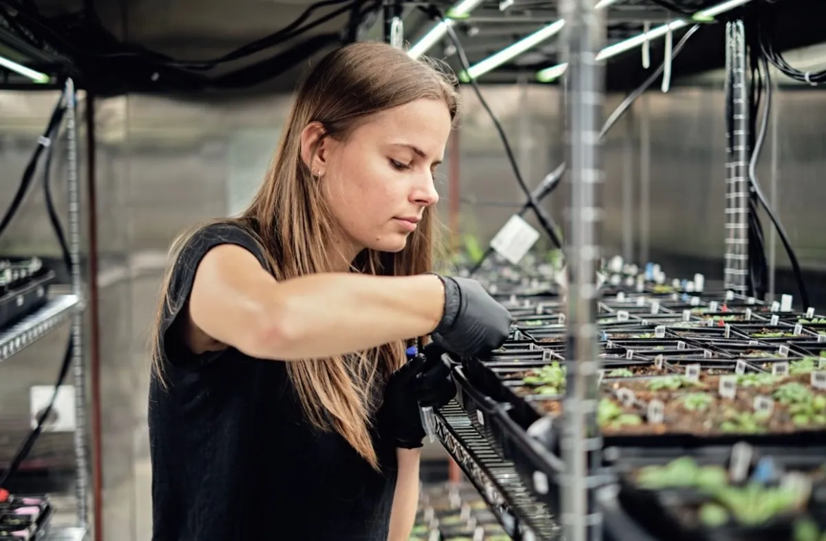 Google’s Secretive X Lab Just Launched a Startup That Uses AI to Supercharge Crops – Here’s What It Means for the Future of Farming