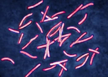 In Just Two Days, AI Does What Scientists Took 10 Years to Achieve Solving the Tuberculosis Superbug Mystery