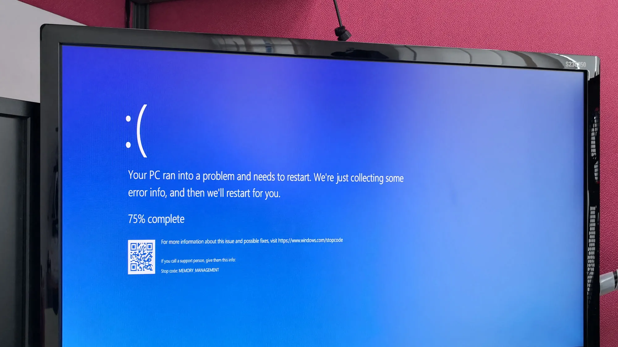 Windows 11 Update Glitch: Why Your Files Won’t Open and How to Fix It