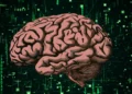 Revolutionary Tech Unveiled How Brain-Powered Computers Could Change Our Future