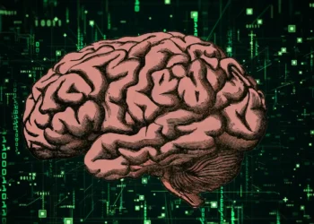 Revolutionary Tech Unveiled How Brain-Powered Computers Could Change Our Future